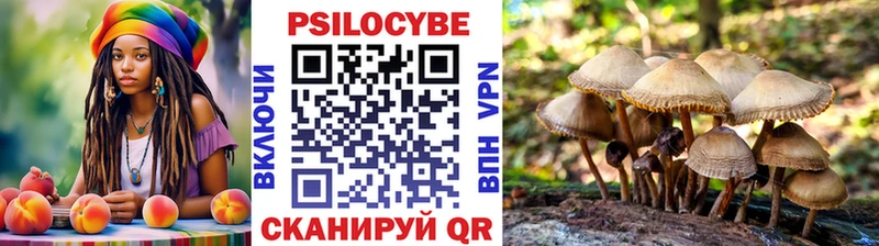 Галлюциногенные грибы Psilocybe  где купить наркотик  Яхрома 